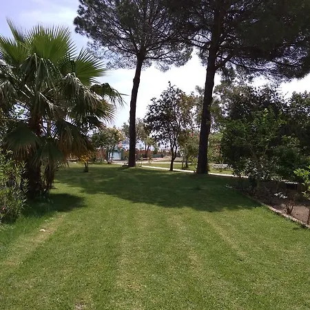 Palmyra Beachfront