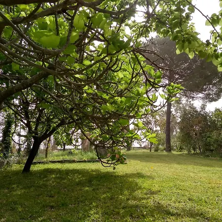 Apartament Palmyra Beachfront *