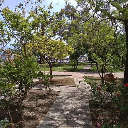 Palmyra Beachfront * نيدري