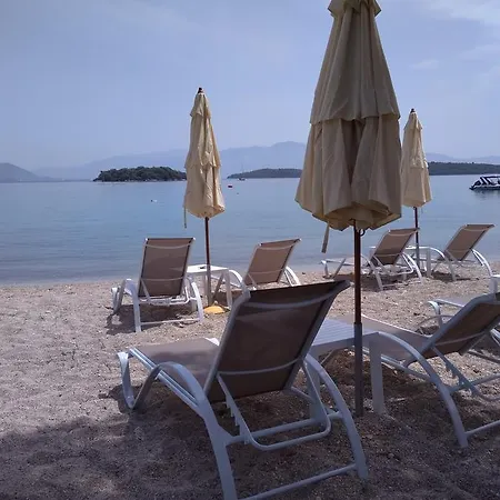 Palmyra Beachfront *