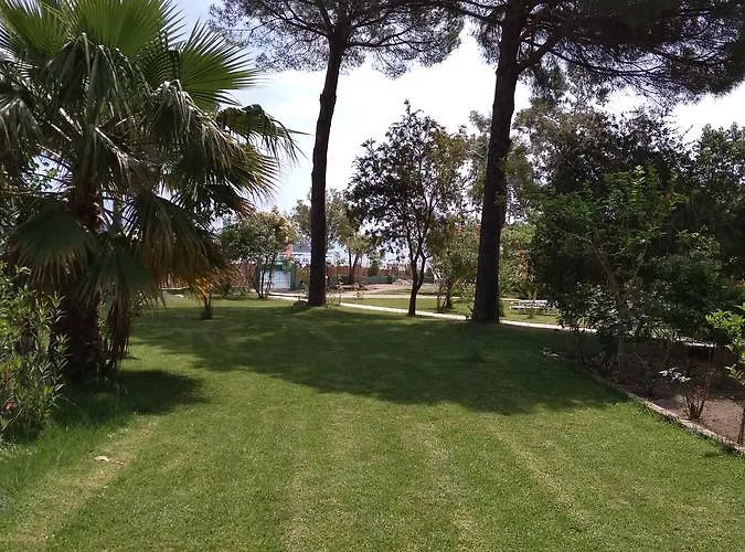 Palmyra Beachfront